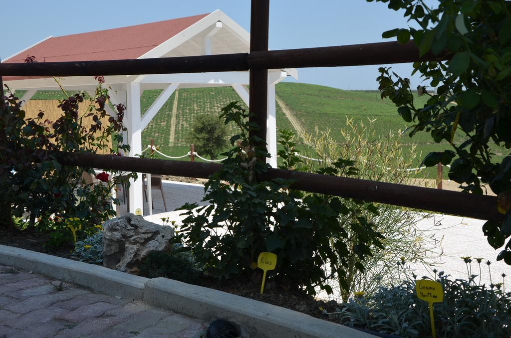 Re Umberto Suite San Salvo Exterior photo